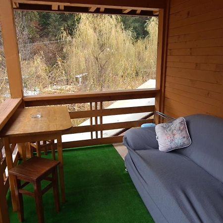 Pensiunea Aurora - Great Hostel וויניאסה מראה חיצוני תמונה