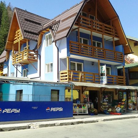 Pensiunea Aurora - Great Hostel וויניאסה מראה חיצוני תמונה