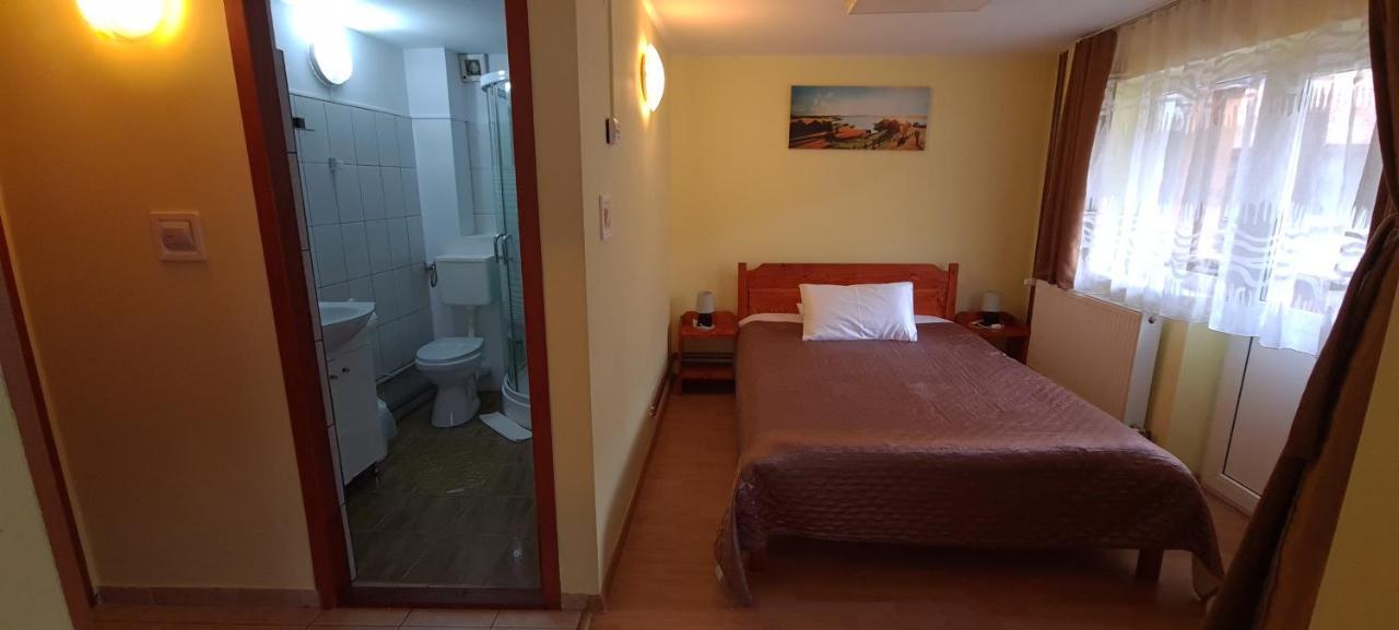 Pensiunea Aurora - Great Hostel וויניאסה מראה חיצוני תמונה