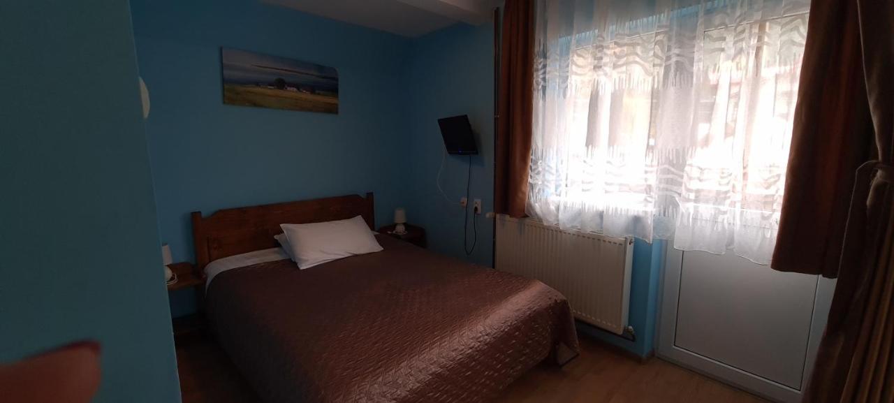 Pensiunea Aurora - Great Hostel וויניאסה מראה חיצוני תמונה