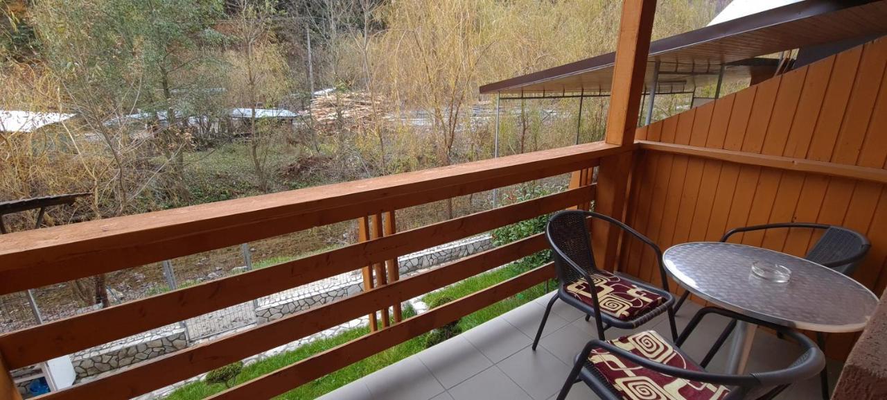 Pensiunea Aurora - Great Hostel וויניאסה מראה חיצוני תמונה