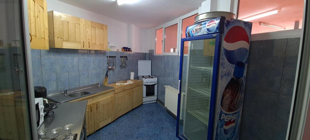 Pensiunea Aurora - Great Hostel וויניאסה מראה חיצוני תמונה