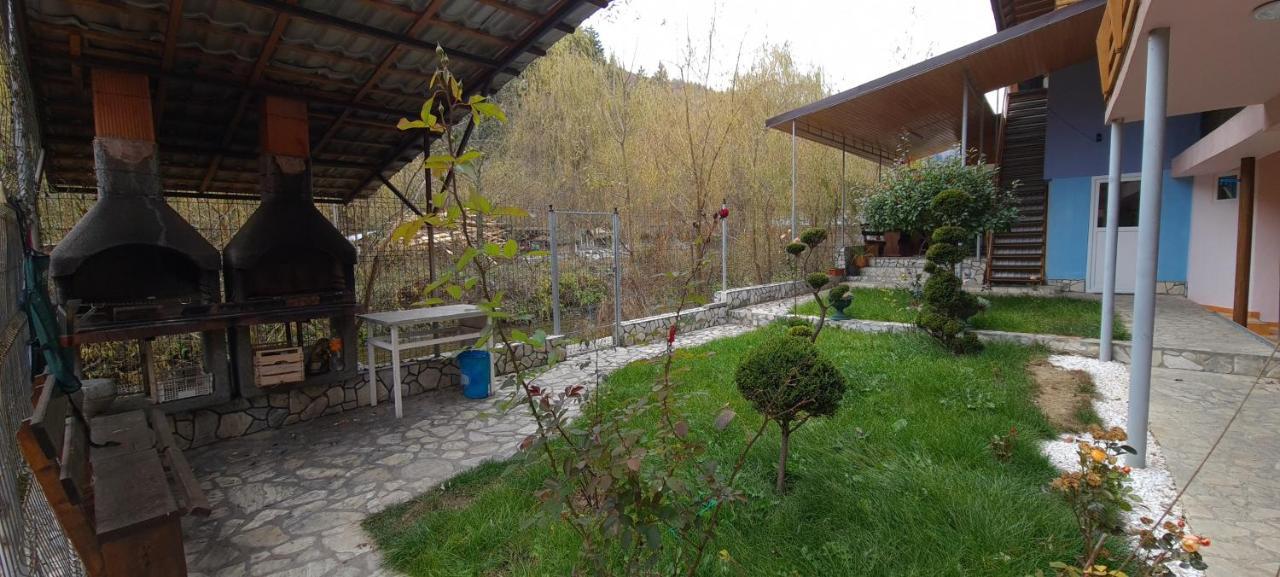 Pensiunea Aurora - Great Hostel וויניאסה מראה חיצוני תמונה