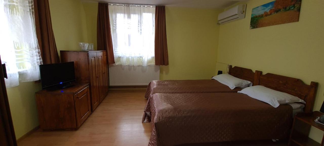 Pensiunea Aurora - Great Hostel וויניאסה מראה חיצוני תמונה