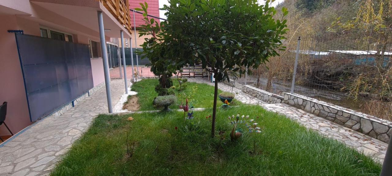 Pensiunea Aurora - Great Hostel וויניאסה מראה חיצוני תמונה