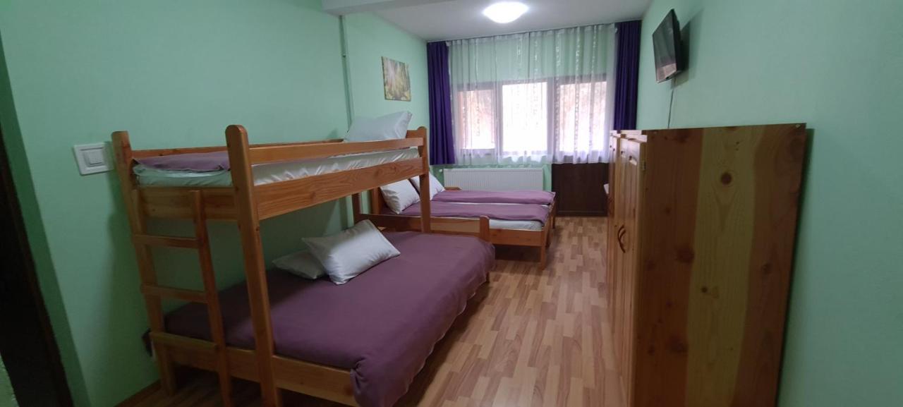 Pensiunea Aurora - Great Hostel וויניאסה מראה חיצוני תמונה