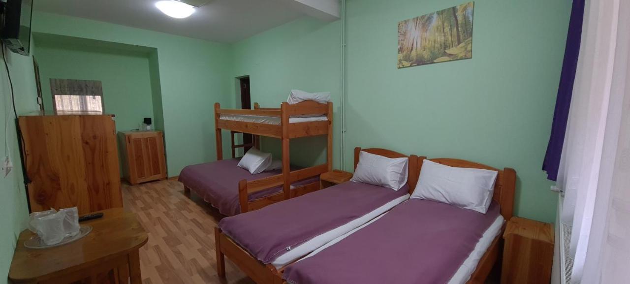 Pensiunea Aurora - Great Hostel וויניאסה מראה חיצוני תמונה