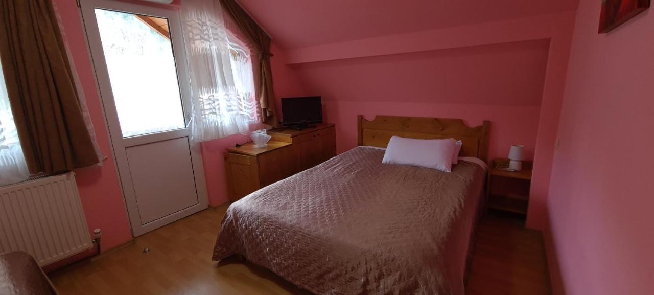 Pensiunea Aurora - Great Hostel וויניאסה מראה חיצוני תמונה