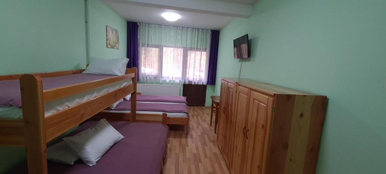 Pensiunea Aurora - Great Hostel וויניאסה מראה חיצוני תמונה