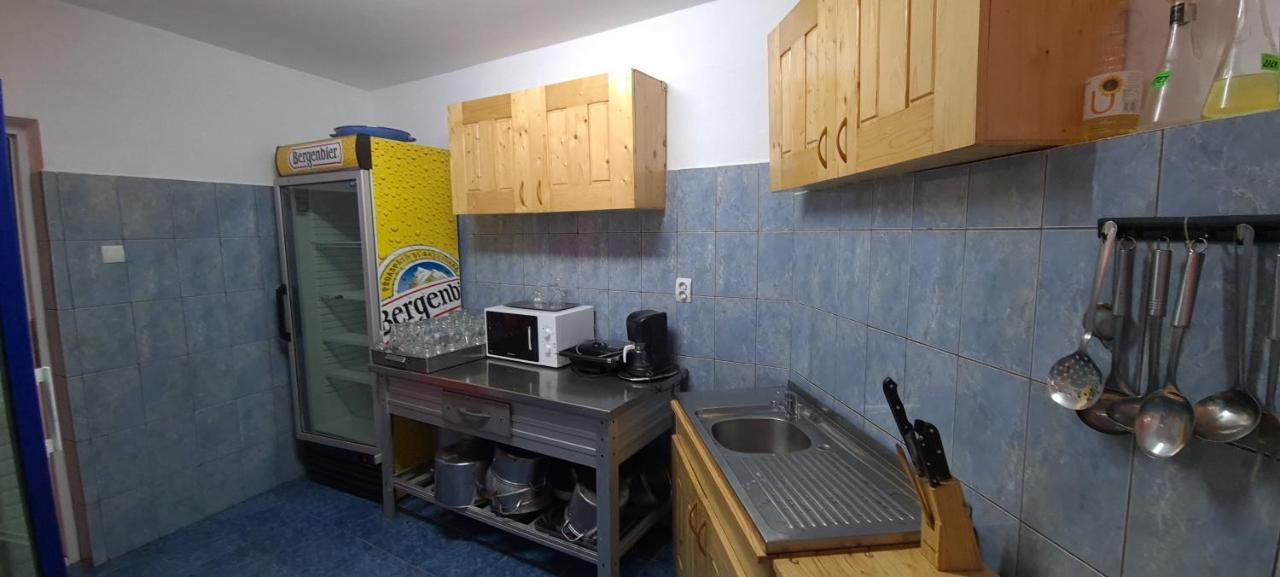 Pensiunea Aurora - Great Hostel וויניאסה מראה חיצוני תמונה