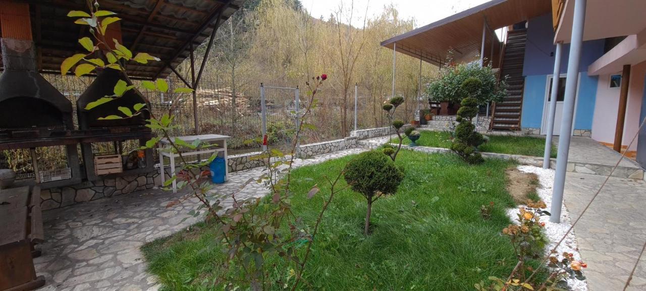 Pensiunea Aurora - Great Hostel וויניאסה מראה חיצוני תמונה
