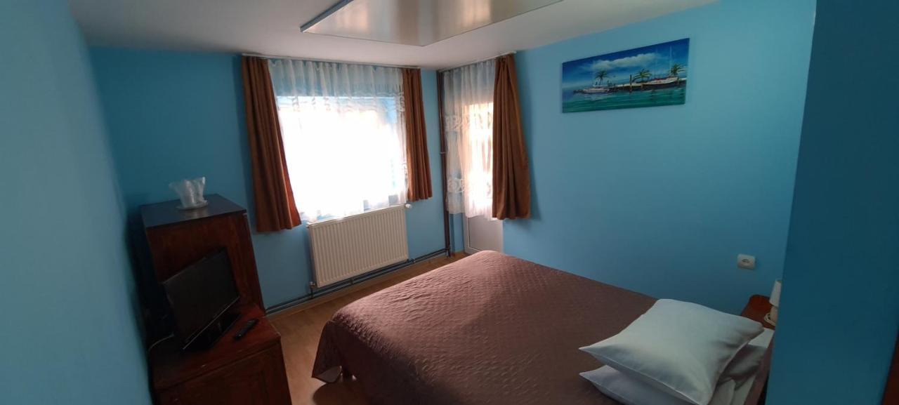 Pensiunea Aurora - Great Hostel וויניאסה מראה חיצוני תמונה