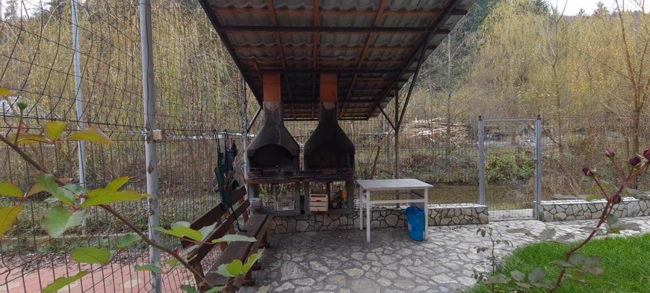 Pensiunea Aurora - Great Hostel וויניאסה מראה חיצוני תמונה