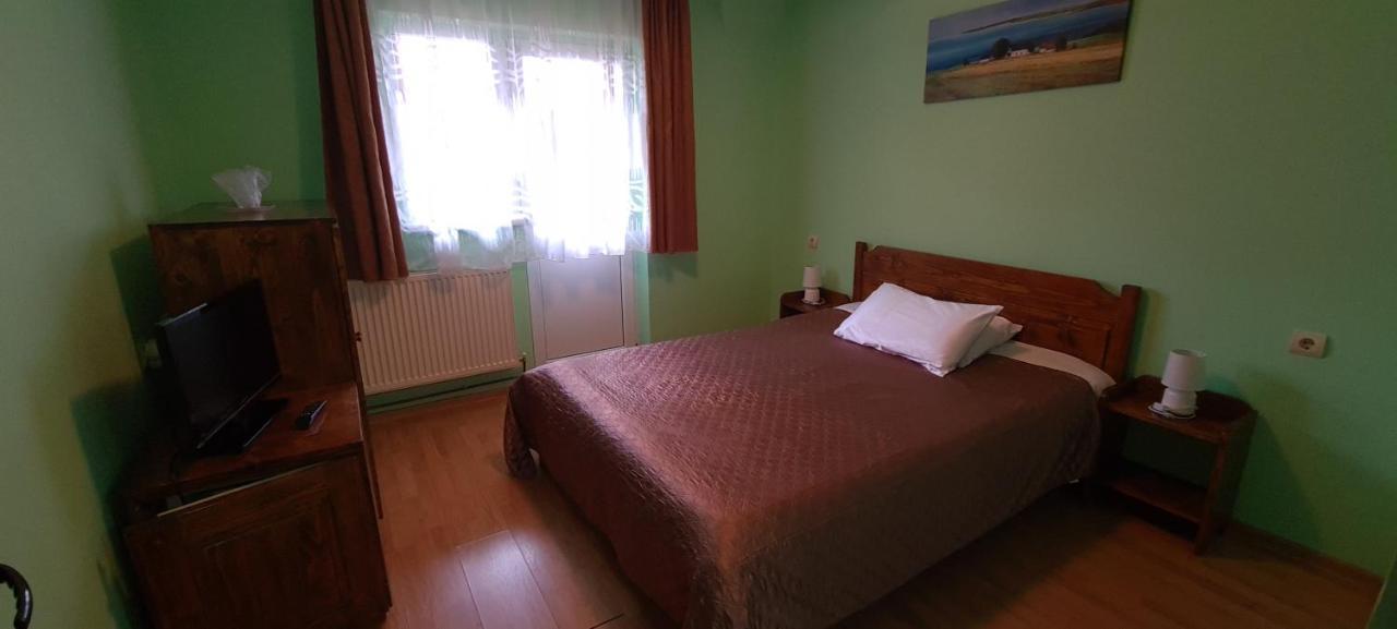 Pensiunea Aurora - Great Hostel וויניאסה מראה חיצוני תמונה