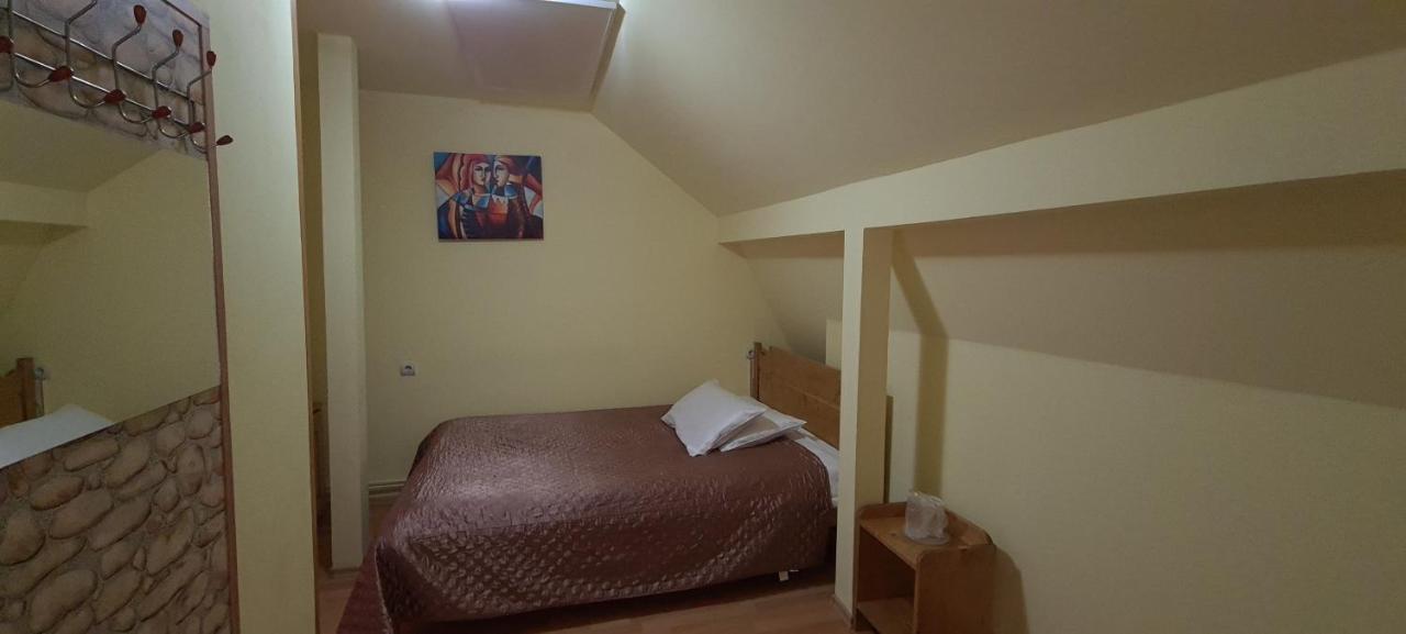 Pensiunea Aurora - Great Hostel וויניאסה מראה חיצוני תמונה