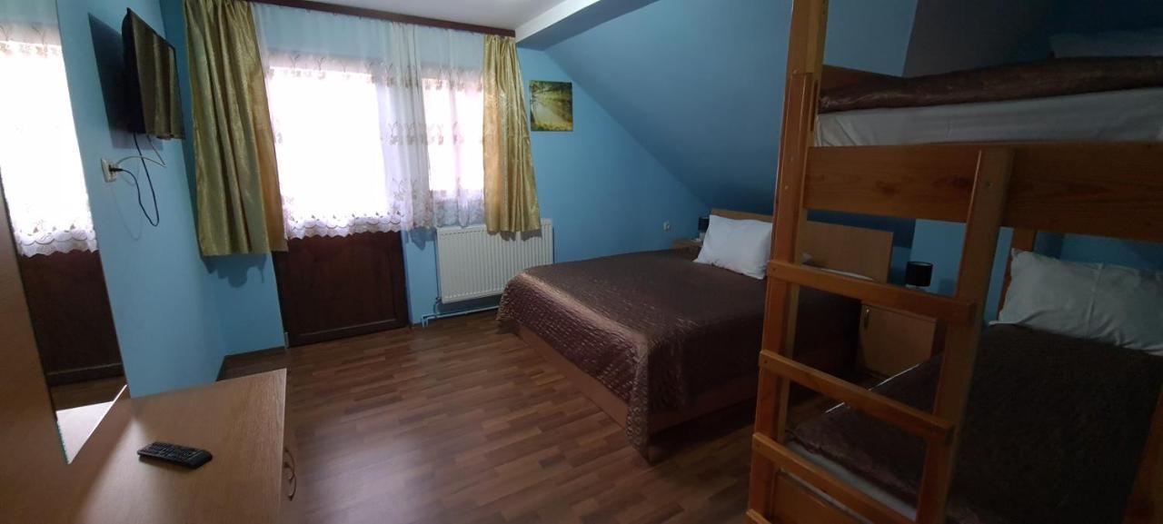Pensiunea Aurora - Great Hostel וויניאסה מראה חיצוני תמונה
