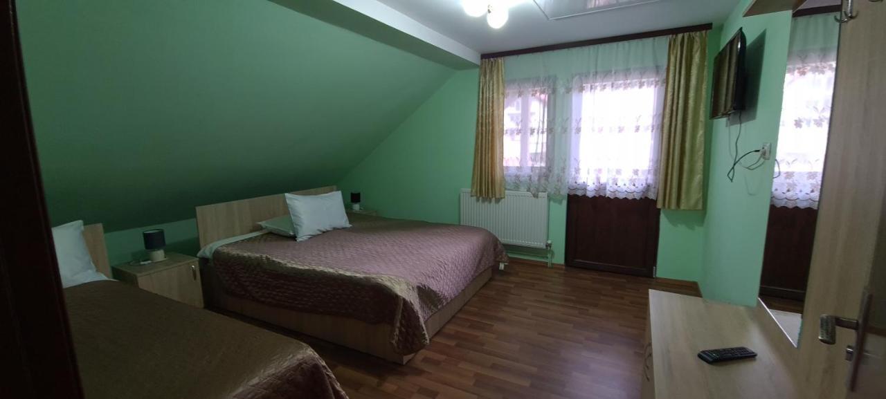 Pensiunea Aurora - Great Hostel וויניאסה מראה חיצוני תמונה