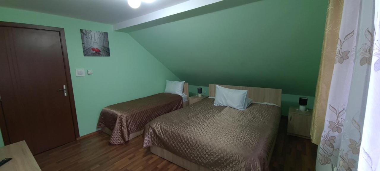 Pensiunea Aurora - Great Hostel וויניאסה מראה חיצוני תמונה