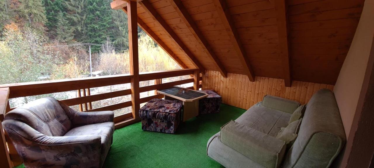 Pensiunea Aurora - Great Hostel וויניאסה מראה חיצוני תמונה