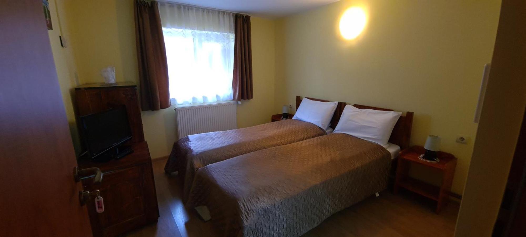 Pensiunea Aurora - Great Hostel וויניאסה מראה חיצוני תמונה