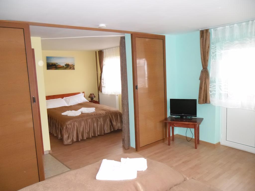 Pensiunea Aurora - Great Hostel וויניאסה חדר תמונה