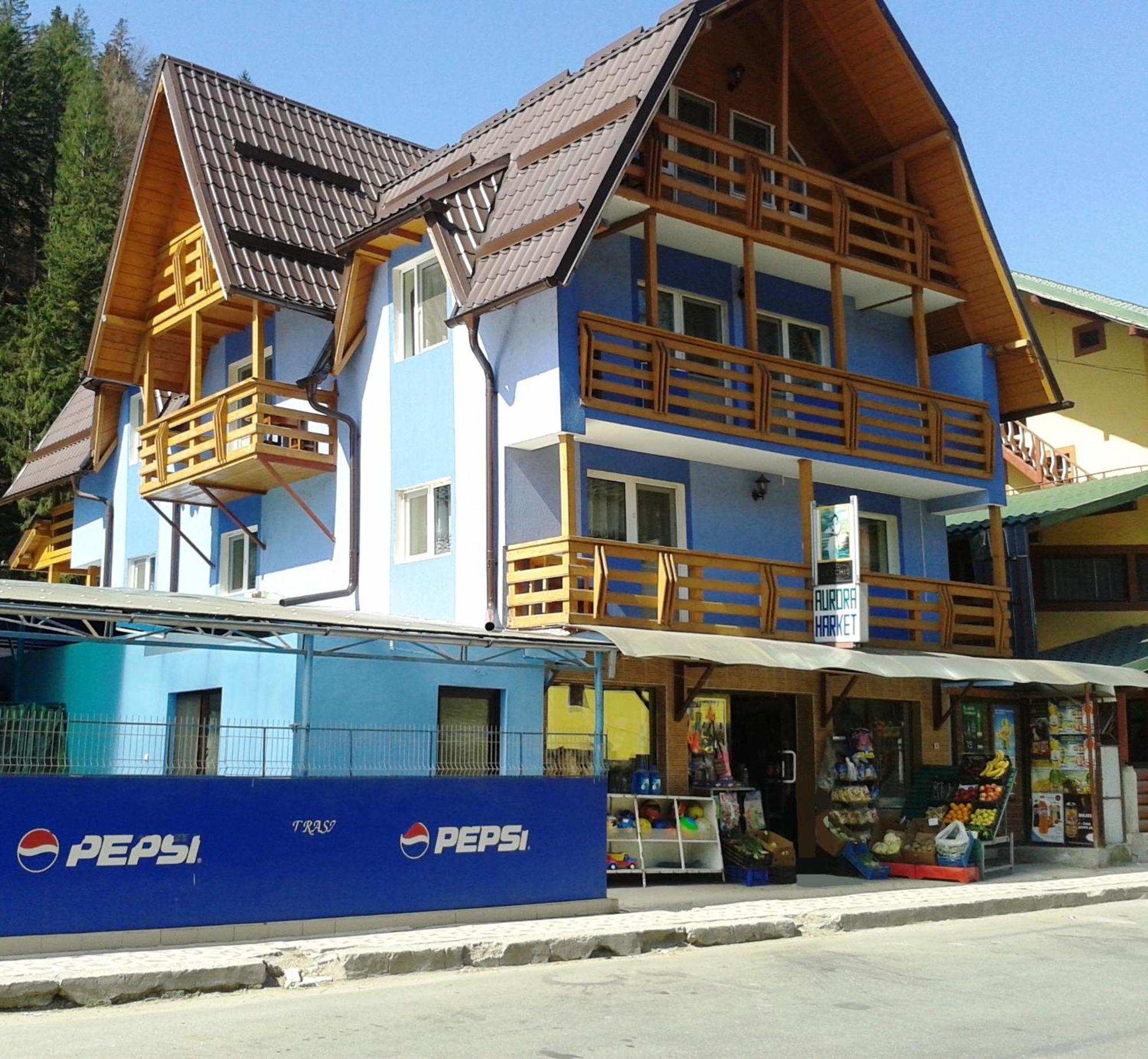 Pensiunea Aurora - Great Hostel וויניאסה מראה חיצוני תמונה