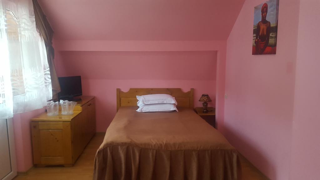 Pensiunea Aurora - Great Hostel וויניאסה מראה חיצוני תמונה