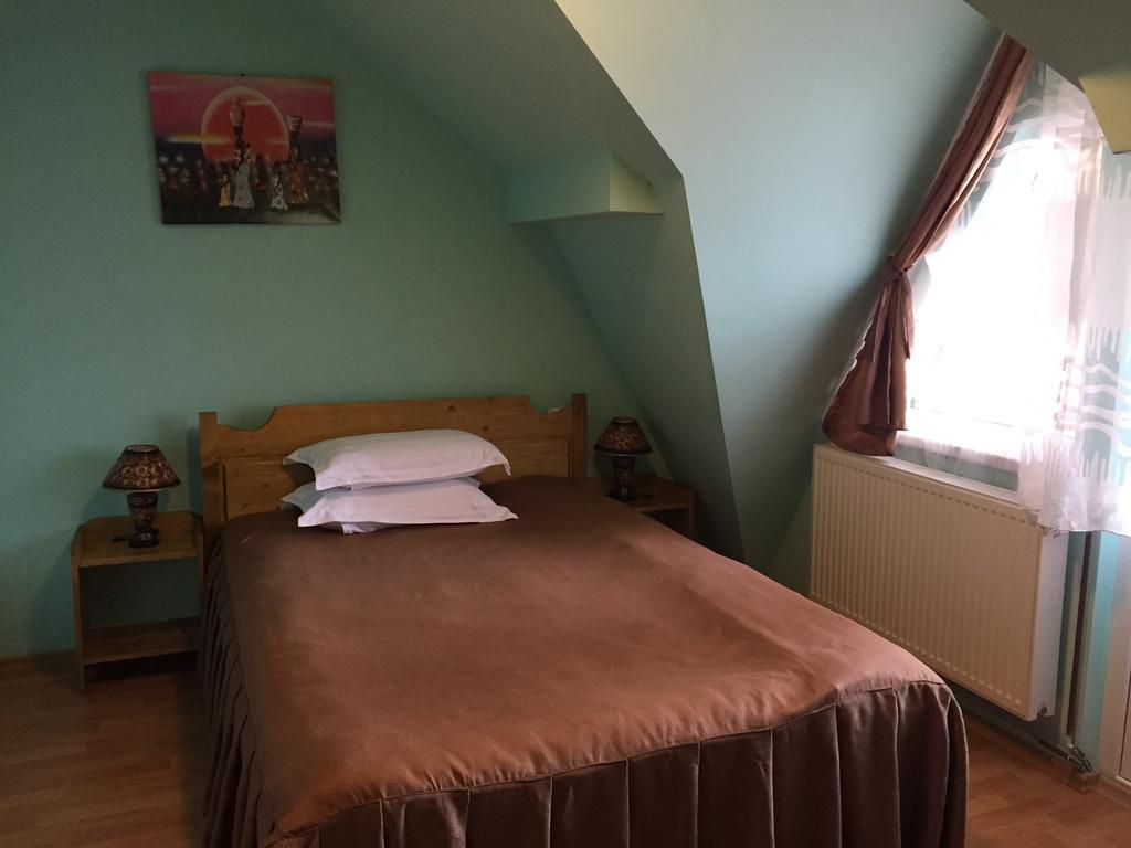 Pensiunea Aurora - Great Hostel וויניאסה מראה חיצוני תמונה